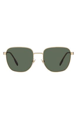 burberry Drew 55mm Square Sunglasses in Green