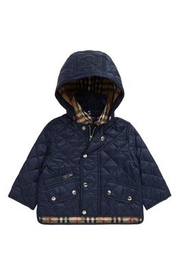 burberry Lucca Quilted Hooded Jacket in Navy