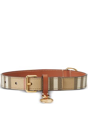 Burberry medium Vintage Check dog collar - Neutrals
