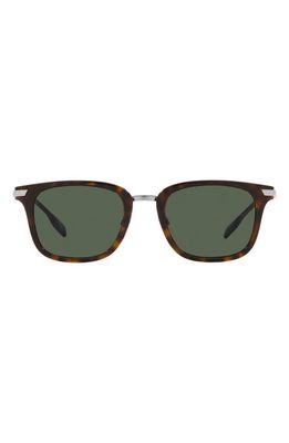 burberry Peter 51mm Square Sunglasses in Dk Havana