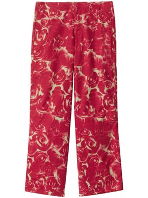Burberry rose-print cotton trousers - Red