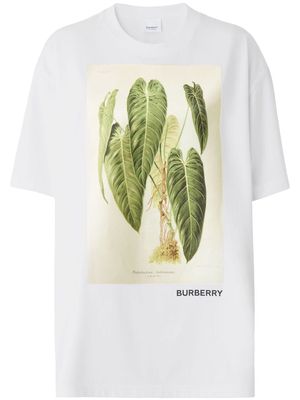 Burberry sketch-print short-sleeve T-shirt - White