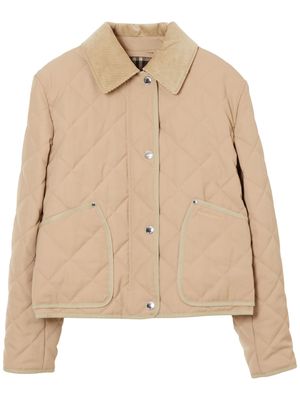 Burberry straight-point collar quilted jacket - Neutrals