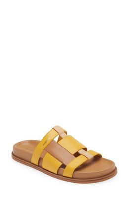 burberry Thelma Slide Sandal in Marigold/Tan