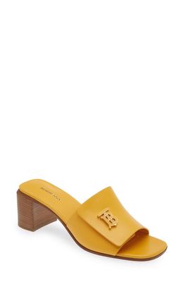 burberry Winnie Slide Sandal in Marigold Yellow