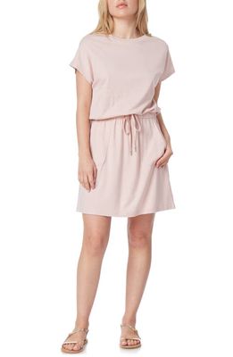 C & C California Barbara Dolman Sleeve Pocket Jersey Dress in Sepia Rose