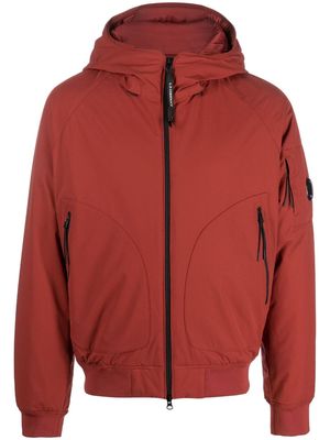 C.P. Company Pro-Tek hooded jacket - Brown