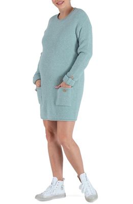 Cache Coeur Honey Long Sleeve Maternity/Nursing Sweater Dress in Sage