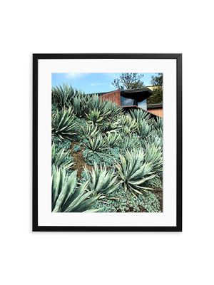 Cacti Framed Photo - Size Medium - Size Medium