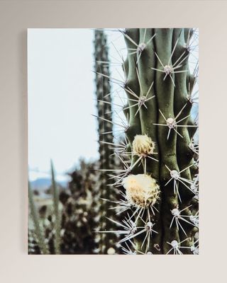 "Cactus Garden" Photography Print on Maple Box Framed Wall Art