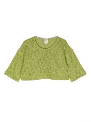Caffe' D'orzo pointelle knit cropped top - Green