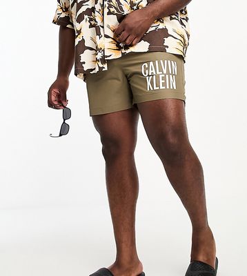 Calvin Klein Big & Tall intense power swim shorts in nettle-Green
