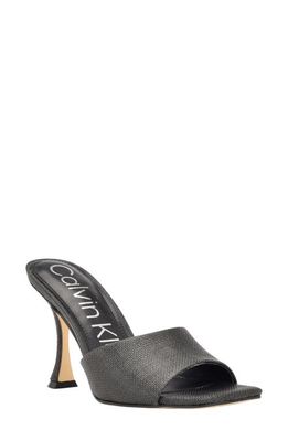 Calvin Klein Bradon Slide Sandal in Black