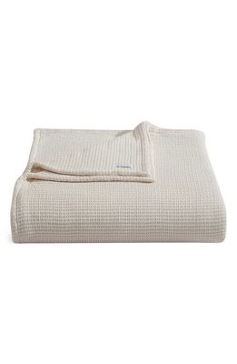 Calvin Klein Honeycomb Cotton Blanket in Beige/Tan