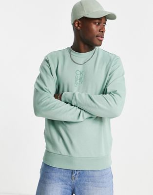 Calvin Klein hybrid logo sweatshirt in teal green