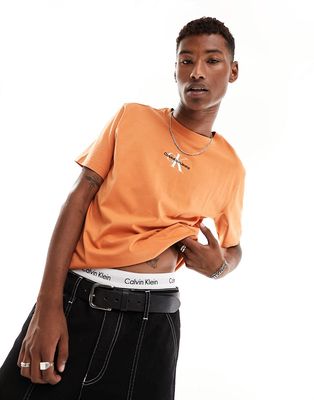 Calvin Klein Jeans monogram logo regular t-shirt in clay-Orange