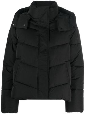 Calvin Klein padded-design stand-up collar jacket - Black