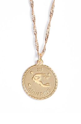 CAM Ascending Zodiac Medallion Necklace in Aquarius