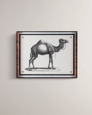 Camel Giclee