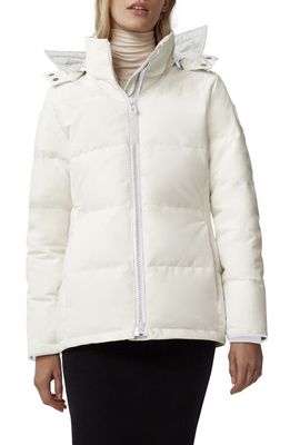 Canada Goose Chelsea HUMANATURE 625 Fill Power Down Parka in Greige