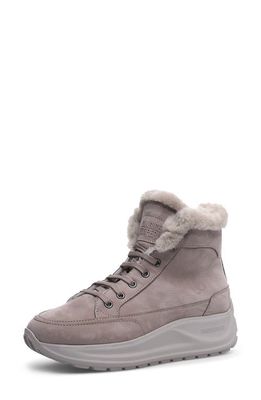 Candice Cooper Spark Vancouver Genuine Shearling Lined High Top Sneaker in Nut
