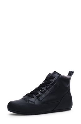 Candice Cooper Star Genuine Shearling Lined Mid Top Sneaker in Old Black
