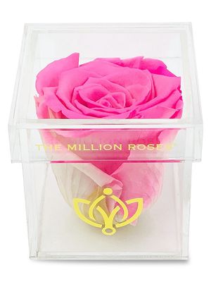 Candy Pink Rose In Single Rose Box - Candy Pink - Candy Pink