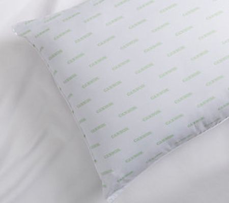 Cannon Silvadur Antimicrobial King 2 Pack Pillow