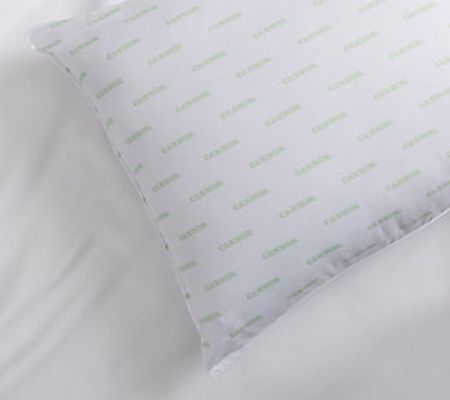 Cannon Silvadur Antimicrobial Standard 2 Pack Pillow
