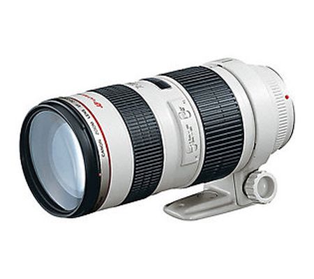 Canon 70-200 2.8L USM w/ Lens Hood