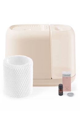 CANOPY Large Room Humidifier Starter Kit in White Tones 