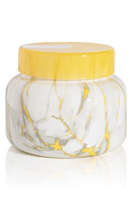 Capri Blue Modern Marble Jar Candle in Pineapple Flower