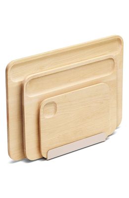 CARAWAY 4-Piece Cutting Board Set in Beige