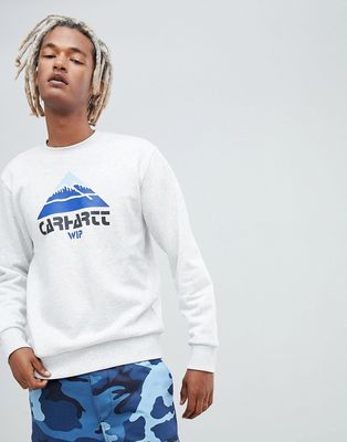Carhartt WIP Mountain logo sweatshirt in grey-Gray