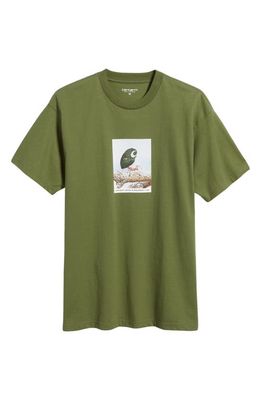 Carhartt Work In Progress Antleaf Organic Cotton Graphic T-Shirt in Dollar Green