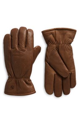 Carhartt Work In Progress Fonda Leather Gloves in Hamilton Brown