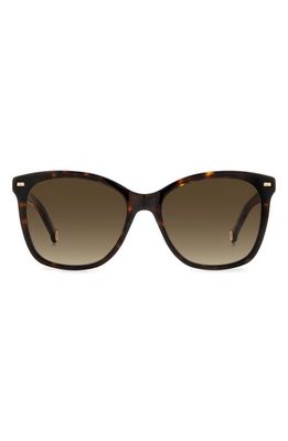 Carolina Herrera 54mm Cat Eye Sunglasses in Havana Red/Brown Gradient