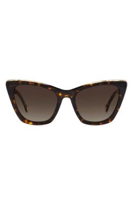 Carolina Herrera 55mm Cat Eye Sunglasses in Havana White/Brown Gradient