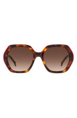 Carolina Herrera 55mm Gradient Square Sunglasses in Havana Red/Brown Gradient
