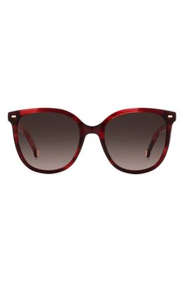 Carolina Herrera 55mm Round Sunglasses in Burgundy/Brown Gradient