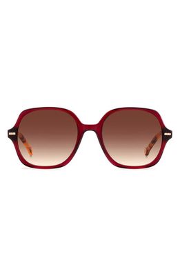 Carolina Herrera 55mm Square Sunglasses in Burgundy Havana /Brown