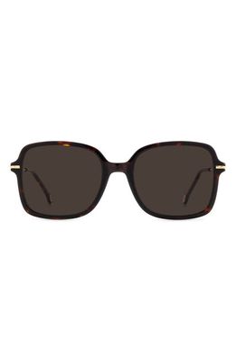 Carolina Herrera 55mm Square Sunglasses in Havana /Brown