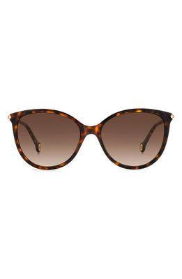 Carolina Herrera 57mm Round Sunglasses in Havana Gold/Brown Gradient