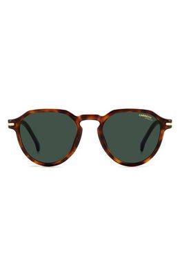 Carrera Eyewear 50mm Round Sunglasses in Havana/Green