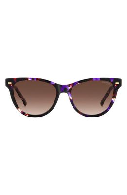Carrera Eyewear 54mm Cat Eye Sunglasses in Violet Havana/Brown Gradient
