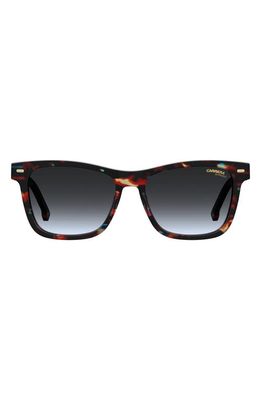 Carrera Eyewear 54mm Gradient Rectangular Sunglasses in Blue Havana/Grey Shaded