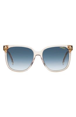 Carrera Eyewear 55mm Rectangular Sunglasses in Beige/Blue Shaded