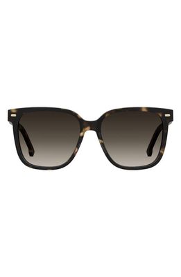 Carrera Eyewear 55mm Rectangular Sunglasses in Havana/Brown Gradient 