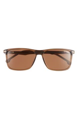 Carrera Eyewear 57mm Polarized Rectangular Sunglasses in Brown/Brown Solid Polar Lens
