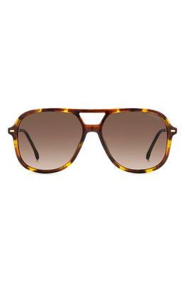 Carrera Eyewear 58mm Navigator Sunglasses in Havana 2/Brown Gradient